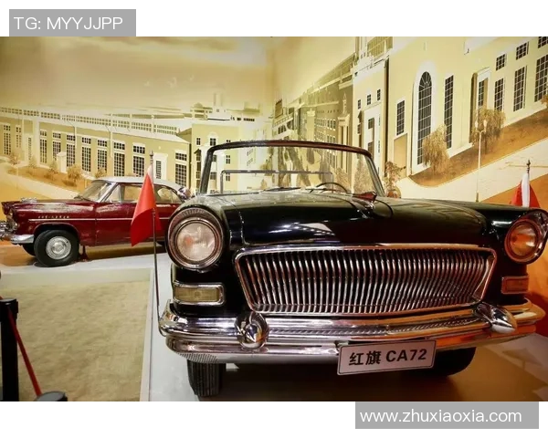 武汉排球队的崛起之路：从默默无闻到精英赛的辉煌历程